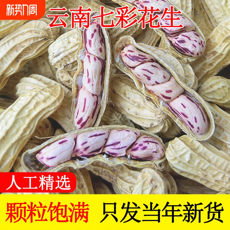 2025新货七彩花生云南特产水煮咸干五彩花生米煮熟晒干带壳