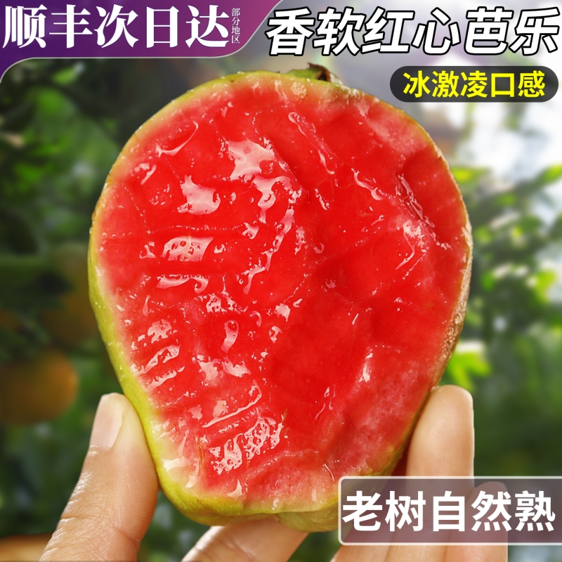 顺丰5斤红心芭乐冰淇淋口感当季