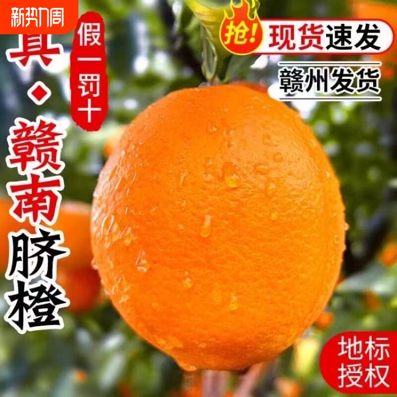 正宗江西赣南脐橙新鲜橙子10斤大果孕妇水果赣州生鲜阳光年货节