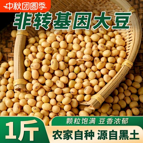 三彩侬新豆东北农家黄豆可生豆芽打豆浆粗粮杂粮1/2/5/10/50斤