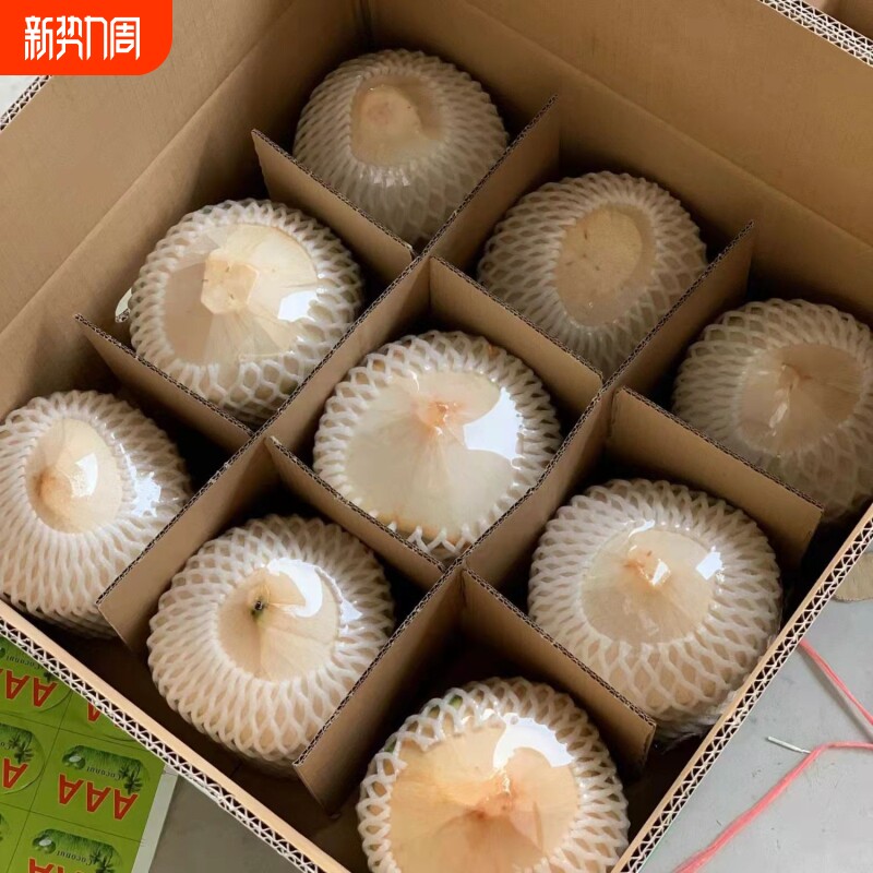 正宗海南椰青新鲜椰子2/4/6/9个装当季水果去皮一整箱特产包邮