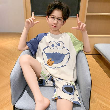 男童睡衣2025新款夏季薄款纯棉短袖短裤儿童中大童夏天男孩家居服