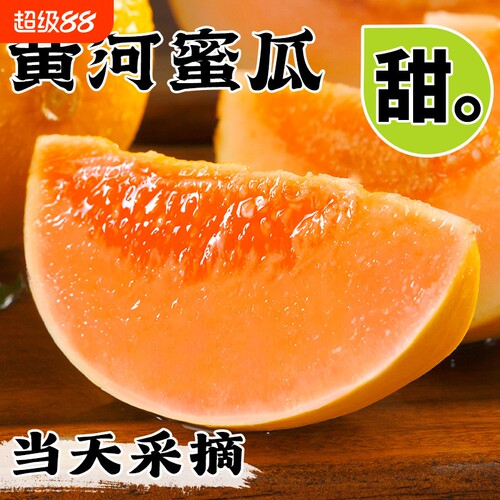 陕西黄河蜜甜瓜当季新鲜水果沙漠