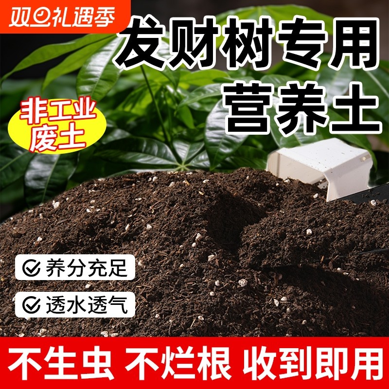 发财树专用土花土绿植种植土肥料专用肥土家用盆栽壤园艺营养土壤