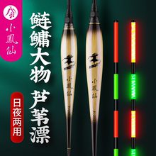 小凤仙夜光漂鲢鳙鱼漂大物芦苇加粗醒目远投漂日夜两用电子浮漂