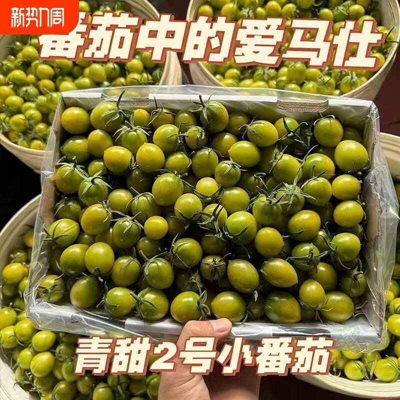 山东寿光清甜2号小番茄酸甜爆汁果园新鲜采摘绿色圣女果京东包邮