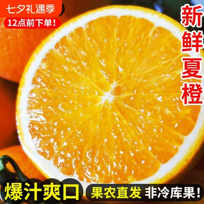 正宗夏橙脐橙春橙秭归橙子当季新鲜水果整箱果冻甜榨汁大果现摘