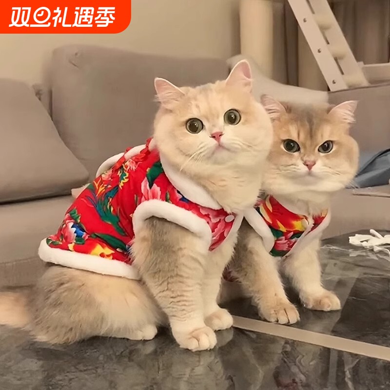 猫咪衣服冬季布偶猫冬装防掉毛宠物小猫冬天保暖加厚猫猫秋冬刺绣