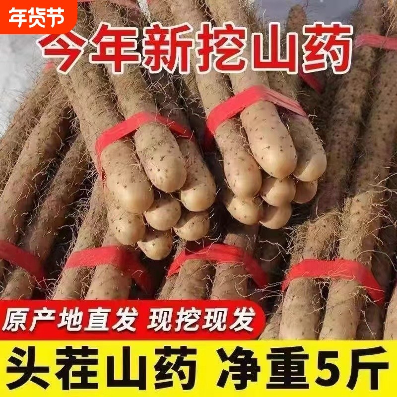 河北特产铁棍山药小白嘴山药新鲜山药粉糯现挖产地直发辅食5斤,水产肉类/新鲜蔬果/熟食,新鲜山药,淘宝优惠券,粉丝福利购,淘宝优惠卷