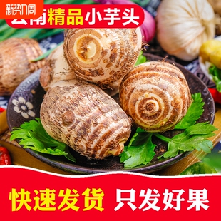9斤芋艿新鲜蔬菜应当季 小香芋毛芋头软糯 云南牛奶小芋头1