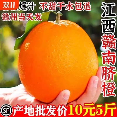 现摘正宗赣南脐橙赣州产地直发江西10斤装当季新鲜水果橙子5阳光