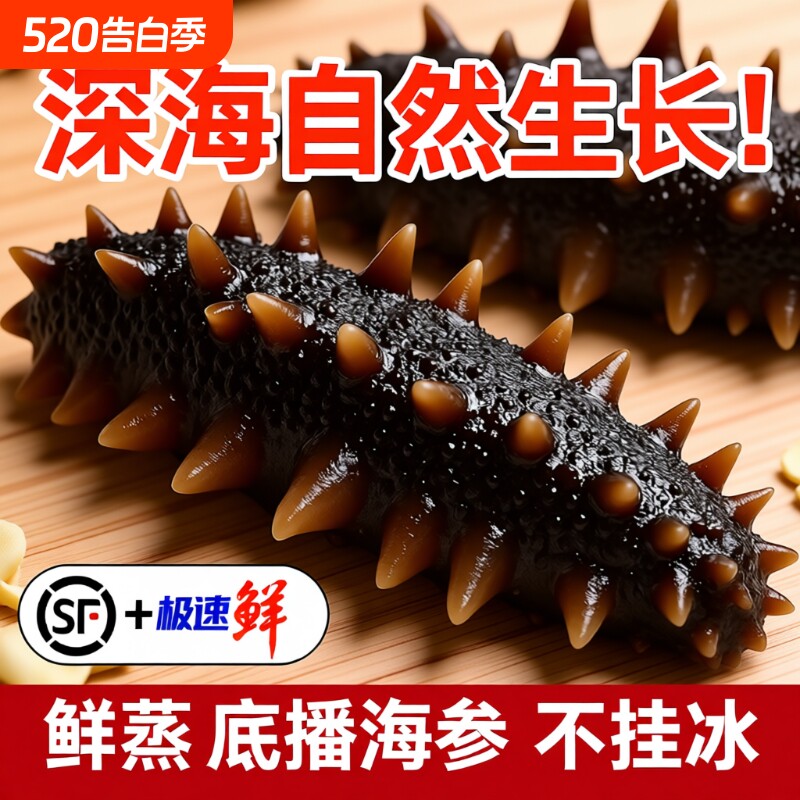 海参大连即食1斤2斤克冷冻海刺参500g水产滋补泡发年货深海食物
