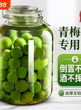 泡酒玻璃瓶青梅泡酒罐果酒空瓶食品级密封罐杨梅专用酒坛容器酿酒