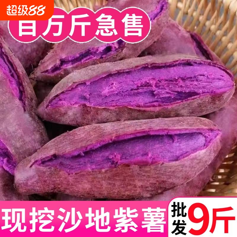 粉糯香甜现挖沙地紫薯新鲜紫心板栗红薯农家番薯地瓜1/3/5斤当季
