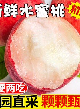 新鲜水蜜桃现摘毛桃蜜桃脆桃宝宝孕妇水果脆甜桃子天水产地鲜水果