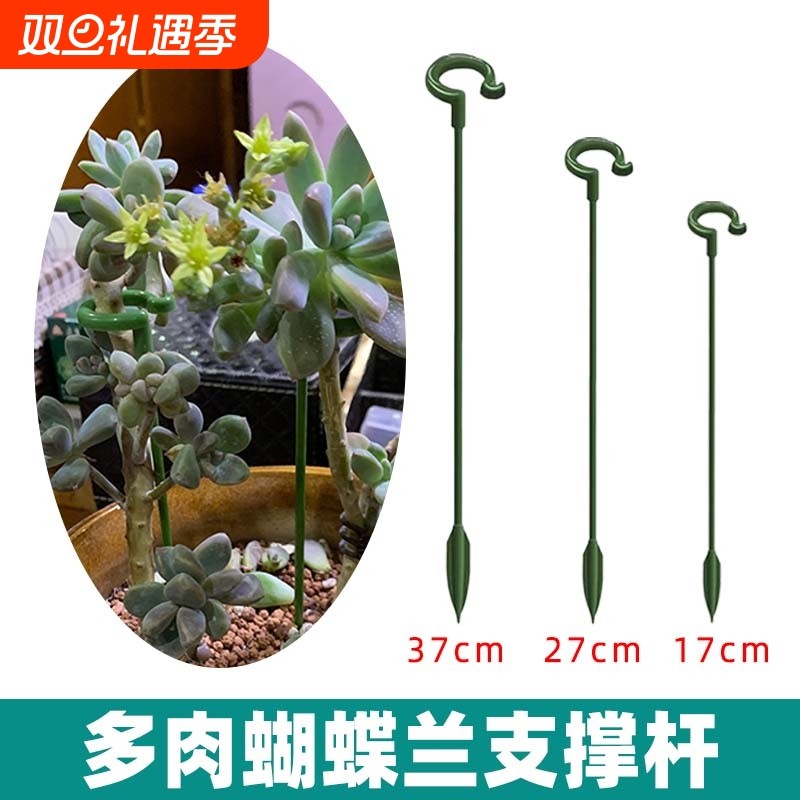 多肉兰花防倒伏支撑杆支撑防倒杆