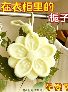 衣柜香薰蜡片女生淡香衣橱鞋柜持久散香空气清新剂香挂生日伴手礼