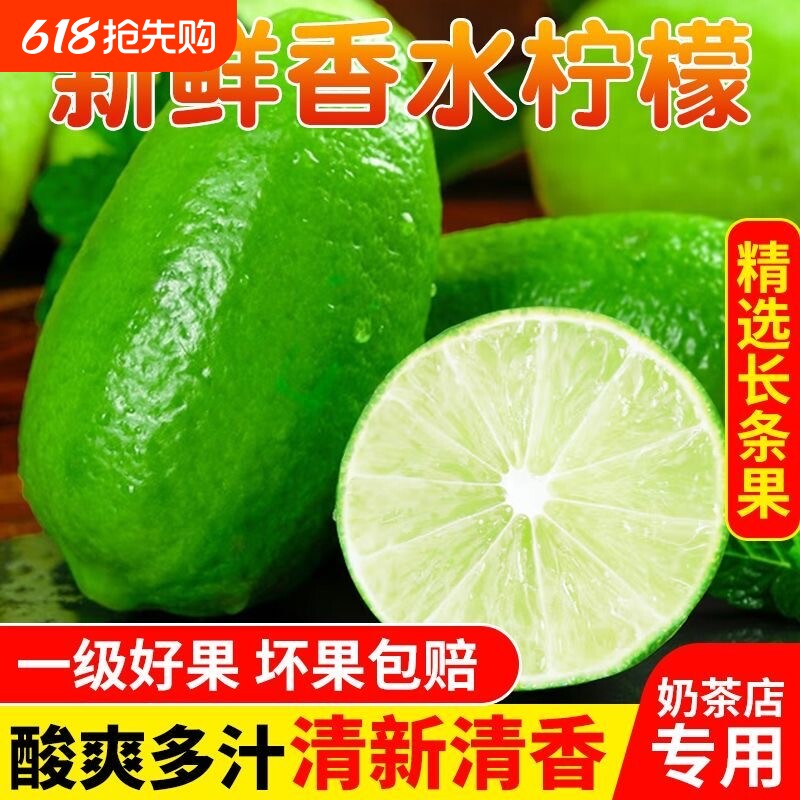 广西香水柠檬新鲜无籽青柠爆汁清香不奶茶店专用现摘现发香柠檬