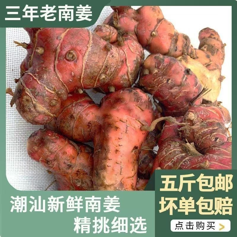 正宗潮汕南姜新鲜山姜良姜红皮白现挖生姜南姜新鲜南姜三年老南姜