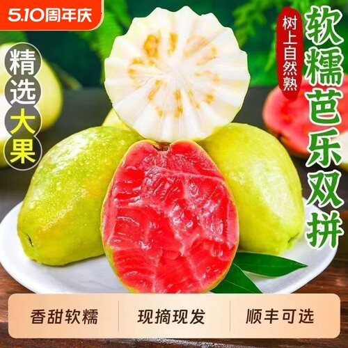 广东芭乐新鲜现摘树熟软芭乐番石榴红心当季生鲜水果整箱包邮