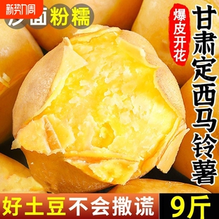 甘肃定西土豆2026黄心沙面马铃薯农家土豆洋芋沙面土豆9斤
