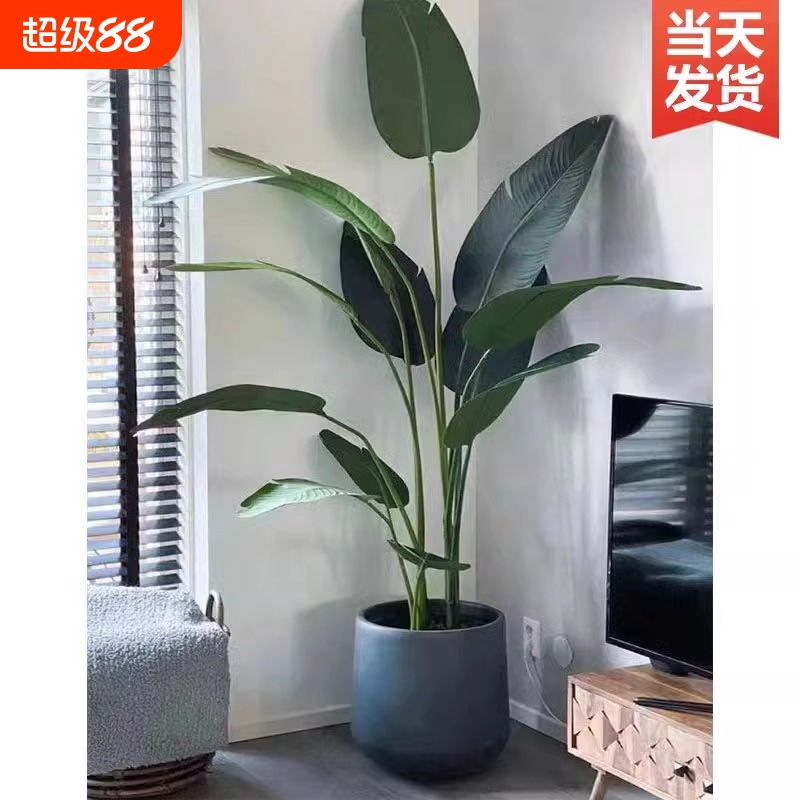 仿真绿植天堂鸟客厅室内