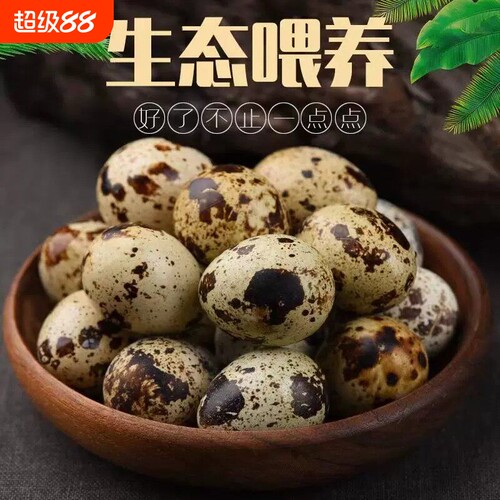 新鲜农家自产鹌鹑蛋杂粮喂养营养宝宝辅食口感细腻多种吃法