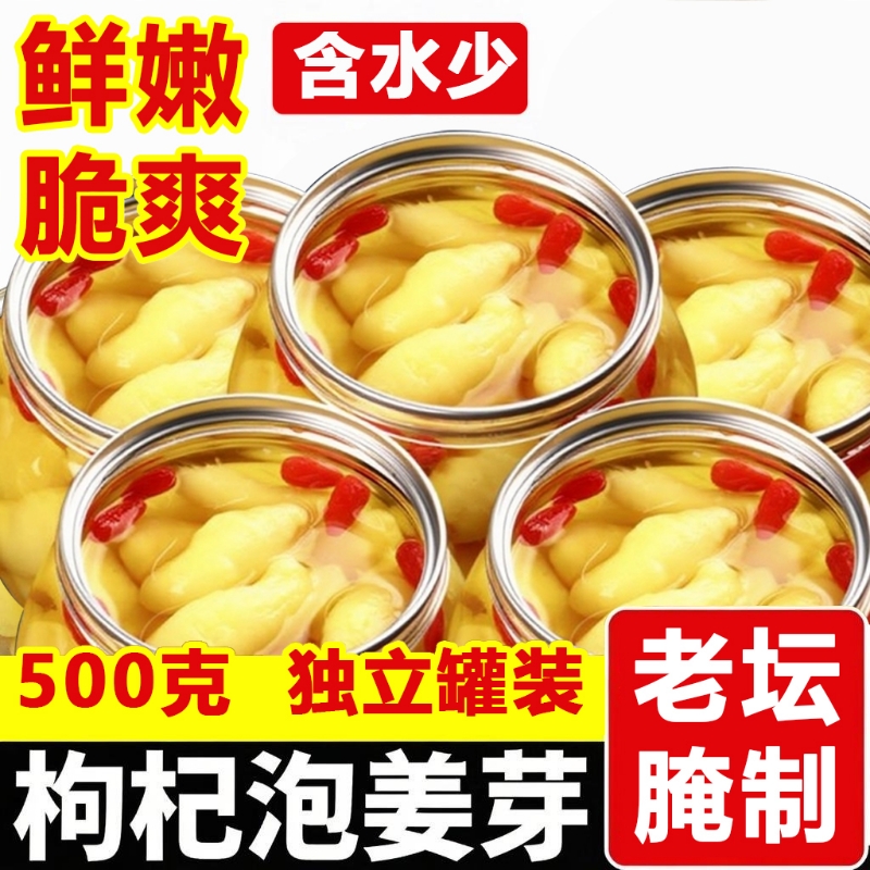 淄博枸杞泡姜芽泡菜嫩姜芽新鲜酸甜开胃腌制泡菜糖醋姜嫩生姜姜片