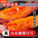 烟薯25号沙地蜜薯糖心红薯小新鲜红皮心烟台农科院烤山芋专用番薯