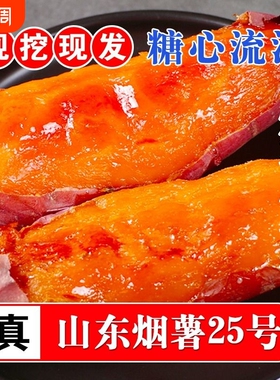 烟薯25号沙地蜜薯糖心红薯小新鲜红皮心烟台农科院烤山芋专用番薯