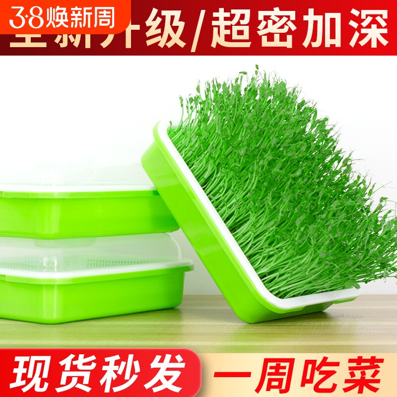 豆芽发芽盆无土栽培蔬菜水培豌豆苗设备种植架托家用芽苗菜育苗盘
