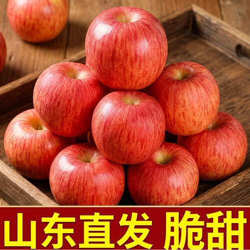 山东烟台红富士苹果精选大果皮薄脆口不粉面当季新鲜水果糖心现摘