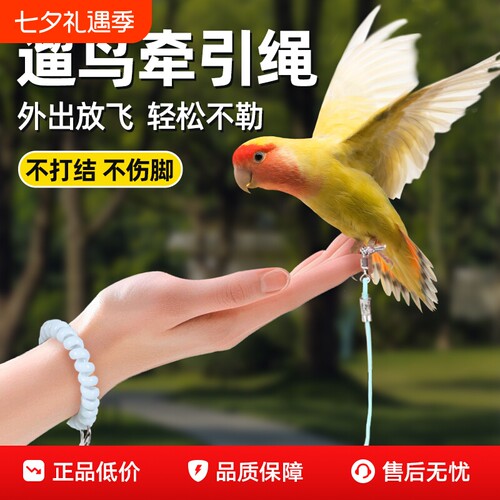鹦鹉放飞训练绳|超1000次加购