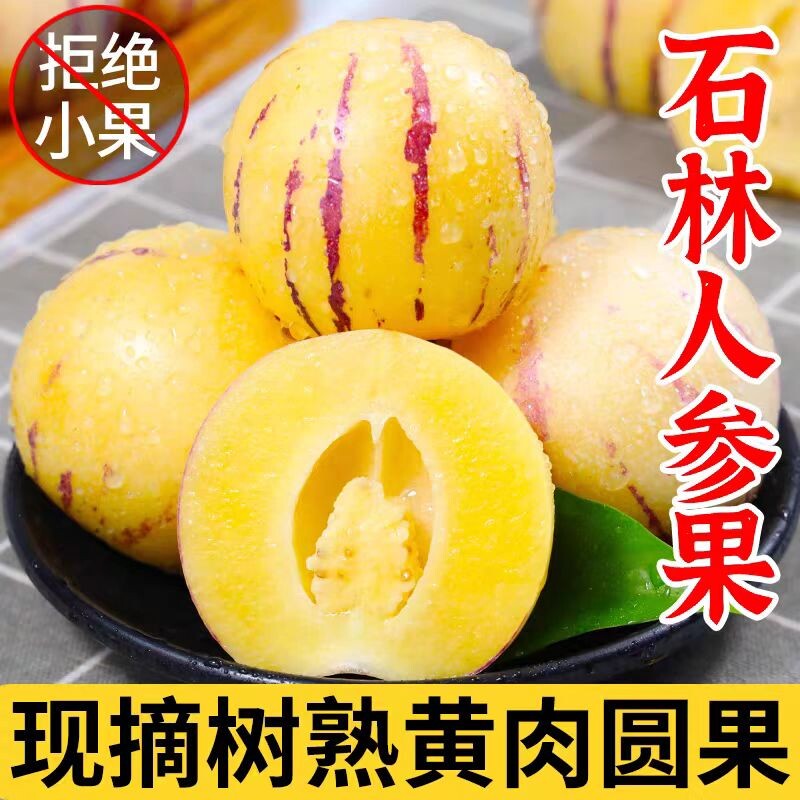 云南石林人参果新鲜水果人生果树上熟特产当季黄果肉10斤整箱包邮