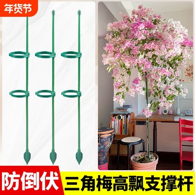 三角梅防倒伏支撑架拼接款