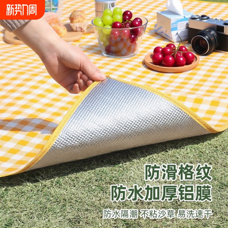 野餐垫户外便携野餐垫ins风彩膜防潮垫便携可折叠草坪沙滩