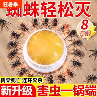 蜘蛛专用药杀虫剂家用非无毒神器室内除消灭红蜘蛛网蜈蚣双杀虫卵