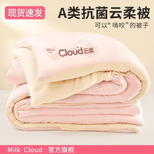 A类母婴加厚冬被保暖被褥被芯