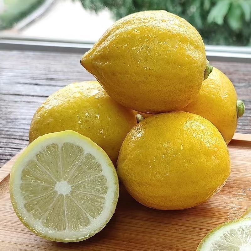广东黄香水柠檬新鲜当季水果暴打柠檬茶黄柠檬奶茶店专用无籽现摘
