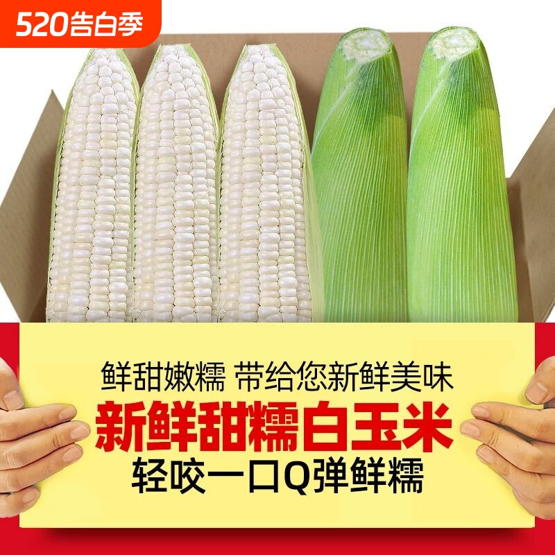 现摘新鲜糯玉米嫩黏亲爱的玉米棒子粒食黄白玉米生鲜水果香甜普通