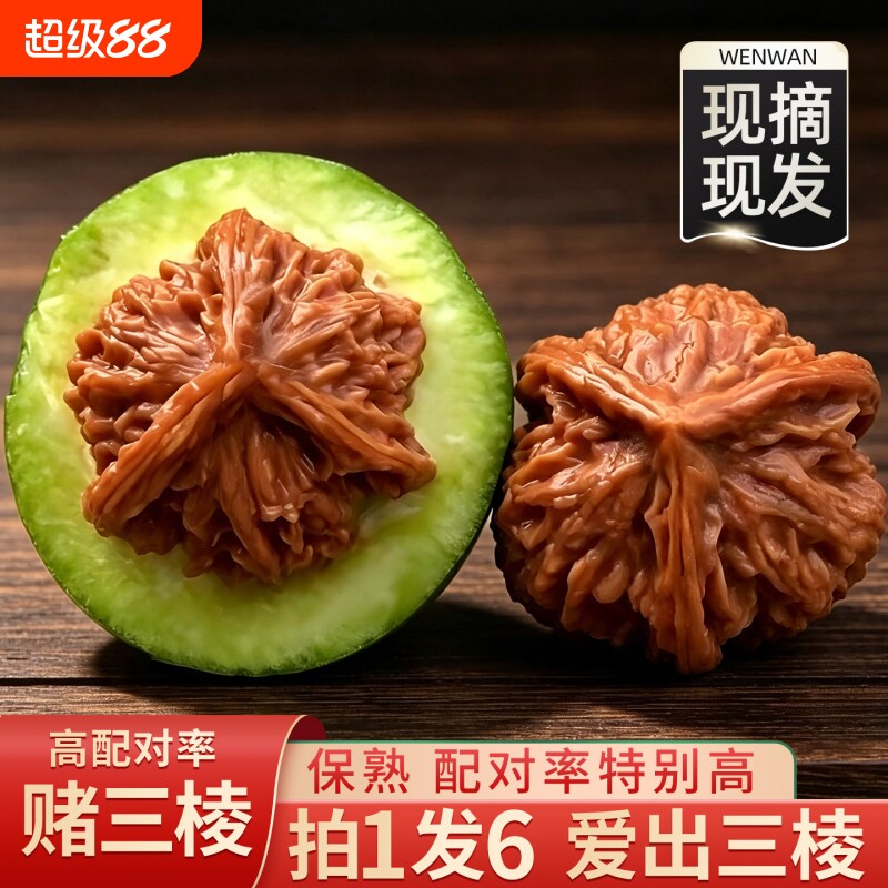 青皮文玩核桃蛤蟆头四座楼白狮子头磨盘宫灯苹果园盘玩南疆石官帽
