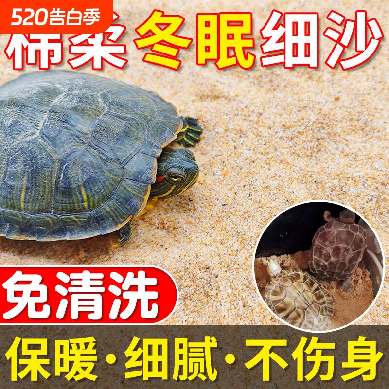乌龟冬眠沙龟缸造景河沙养乌龟专用沙子龟沙巴西龟草龟用品沙螃蟹