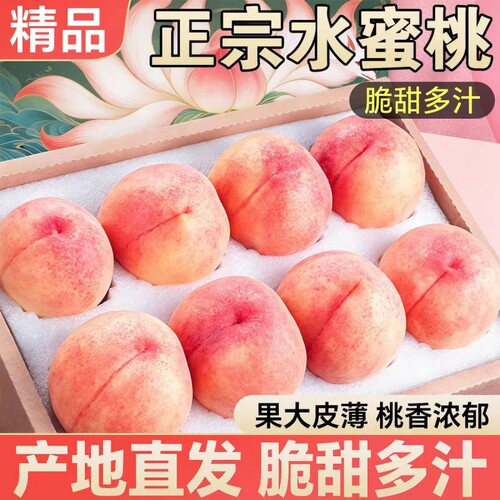 露天现摘水蜜桃新鲜当季时令水果精选产地直发爆汁桃子脆甜多汁