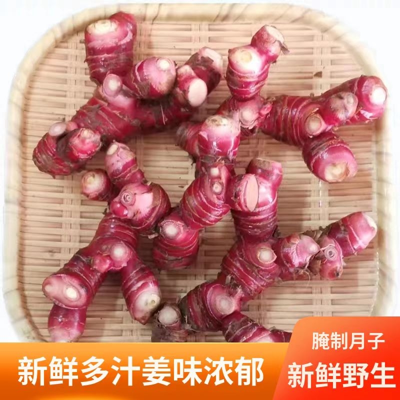 正宗潮汕南姜新鲜山姜良姜红皮白现挖生姜南姜新鲜南姜三年老南姜