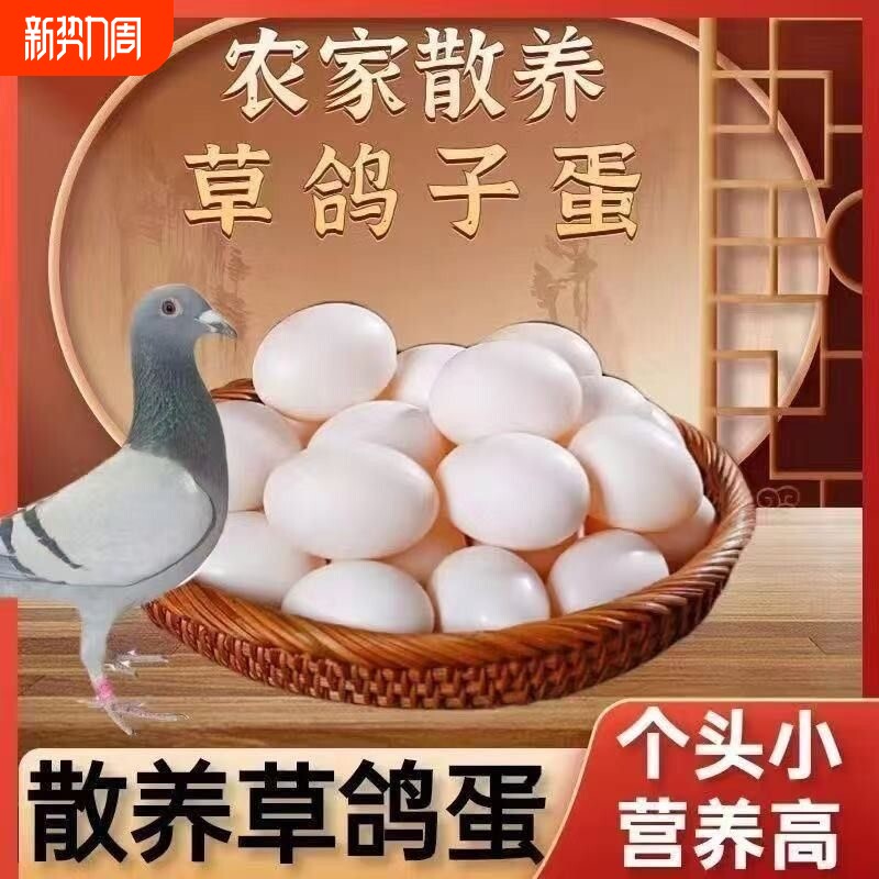 新鲜鸽子蛋正宗草鸽初生蛋农家五谷杂粮散养土鸽蛋儿童辅食鸽子蛋