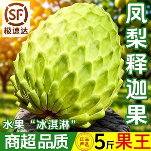 顺丰释迦果新鲜番荔枝5斤凤梨牛奶佛头檎摩尼果当季水果3现摘热带