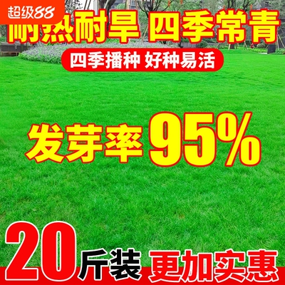 草坪草籽四季常青矮生庭院地毯草护坡固土狗牙根高羊茅绿化草种子