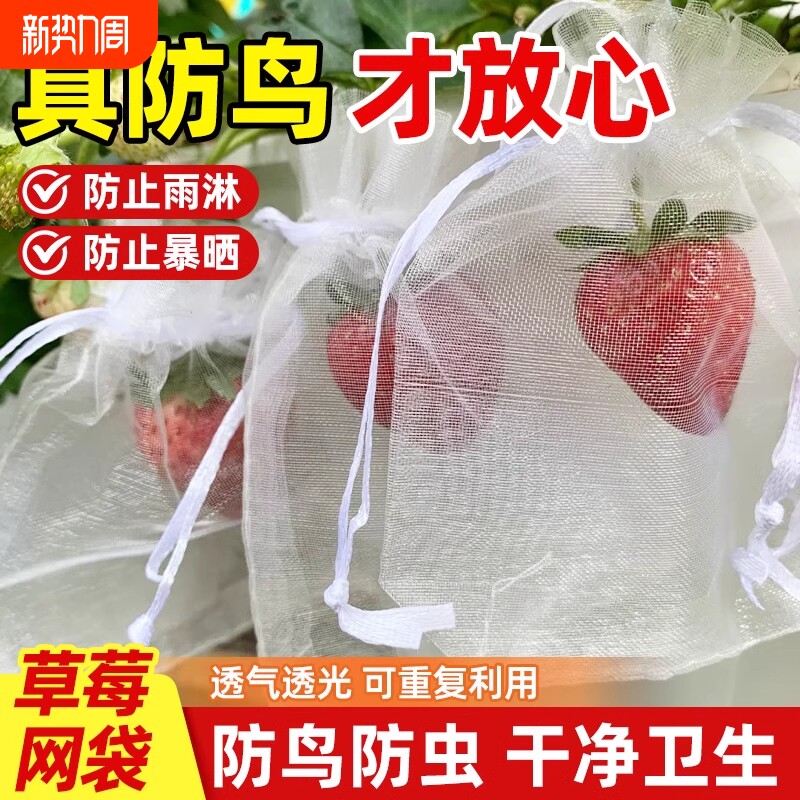 草莓套袋托果网防虫水果专用蓝莓枇杷防护袋防鸟透气防污袋葡萄