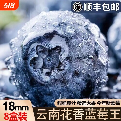 云南蓝莓高山L25花香新鲜水果现摘现发应季孕妇辅食整箱包邮大果