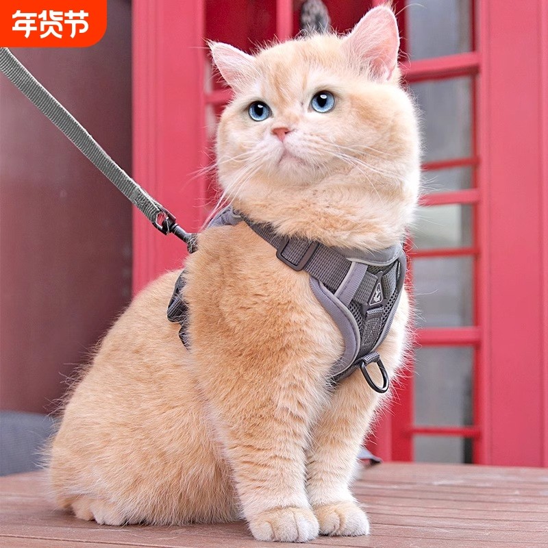 猫咪牵引绳防挣脱防咬外出专用溜猫绳宠物背带链子可调节遛猫神器